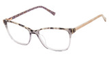 Ted Baker Eyeglasses TFW021 grey/GRY
