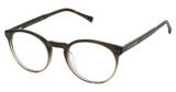 Ted Baker Eyeglasses TM018 olive/OLI