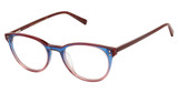 Ted Baker Eyeglasses TFW022 navy/NAV