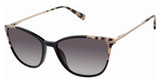 Ted Baker Eyeglasses TWS301 black/BLK