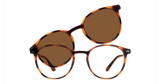 Vivid Eyeglasses VIVID 6039 shiny tortoise