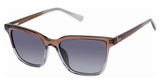 Ted Baker Eyeglasses TWS298 brown/BRN