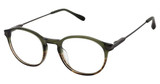 Barbour Eyeglasses BAOM016 olive horn/OLI