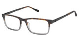 Barbour Eyeglasses BAOM019 tortoise grey crystal/TOR