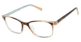 Ted Baker TPW007 tortoise/TOR