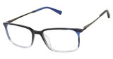 Ted Baker Eyeglasses TMUF008 black/BLK