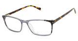 Ted Baker Eyeglasses TXL011 grey/GRY
