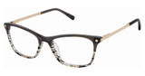 L.A.M.B. Eyeglasses LA147 grey/GRY