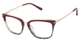 L.A.M.B. Eyeglasses LA148 burgundy / leopard/BUR