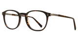 Eye Q Eyewear Eyeglasses WK212 TORTOISE/TORT