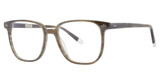 Original Penguin Eyeglasses The Rodgers Birch Horn/BI