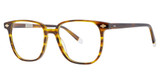 Original Penguin Eyeglasses The Rodgers Whiskey/WK