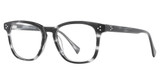 Vivid Eyeglasses VIVID 969 demi grey