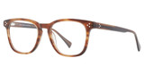 Vivid Eyeglasses VIVID 969 demi brown