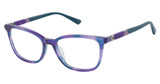 Champion Eyeglasses VEX PURPLE HORN/C02