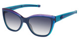 Champion Eyeglasses ROWAN MIDNIGHT/C03