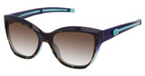 Champion Eyeglasses ROWAN TORTOISE/C01
