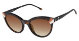 Champion Eyeglasses BETTY MARBLED COCOA/C01