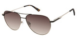 Ann Taylor Eyeglasses ATP933 BLACK/LIGHT GLD/C01
