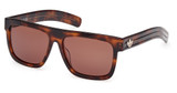 Adidas Originals Eyeglasses OR0127 dark havana / brown/52E