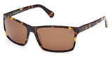 Timberland Eyeglasses TB00032 dark havana / brown polarized/52H
