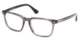 Web Eyeglasses WE5430 grey/other/020