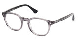 Web Eyeglasses WE5441 grey/other/020