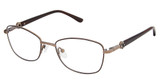 Superflex Eyeglasses SF-1186T CHOCOLATE BROWN/S202