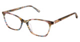 Kliik:denmark Eyeglasses K-787 MULTI PEARL/S401