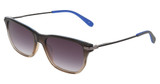SPYDER Eyeglasses SP6051 SMOKE BROWN/205