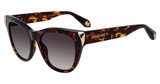 Roberto Cavalli SRC095M Shiny Brown/Yellow Havana 0743