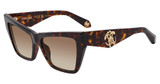Roberto Cavalli Eyeglasses SRC114 Shiny Brown/Yellow Havana 0743