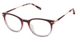 Barbour Eyeglasses BAOW021 raspberry rose crystal/RAS