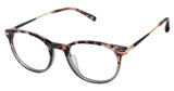 Barbour Eyeglasses BAOW021 grey blush tortoise/GRY