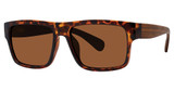 Modz Sunz Eyeglasses POMPANO Brown/Oak