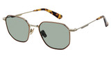 Glen Lane BELLAIRE TORTOISE/TORT