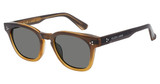 Glen Lane Eyeglasses REEDS BROWN/BRN