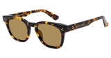 Glen Lane Eyeglasses REEDS TORTOISE/TORT