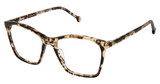 OTP Eyeglasses OTP-208 TORTOISE/S412