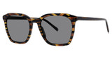 Paradigm Eyeglasses Atlas Tiger Tortoise/TT