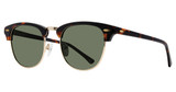 Eye Q Eyewear Eyeglasses MP5010 TORTOISE/GOLD/TORT