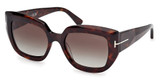 Tom Ford Eyeglasses FT1192 dark havana / gradient smoke/52B
