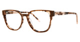 Vera Wang Eyeglasses V729 Umber Tortoise/UM