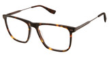 Perry Ellis PE 1351 TORTOISE/3