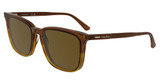 Calvin Klein Eyeglasses CK25507S STRIPED BROWN/203