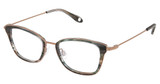 FYSH Eyeglasses FYSH 3765 EMERALD STRIPE/S416