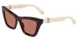 Roberto Cavalli Eyeglasses SRC091M SHINY HAVANA