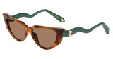 Roberto Cavalli Eyeglasses SRC128M BROWN/GREEN HAVANA
