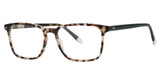 Original Penguin Eyeglasses The Potter Sycamore Tortoise/ST