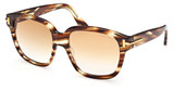 Tom Ford Eyeglasses FT1236 coloured havana / gradient brown/55F
